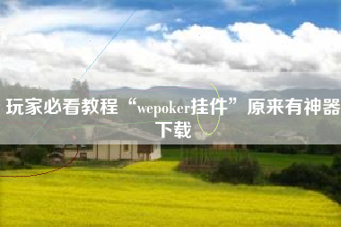 玩家必看教程“wepoker挂件”原来有神器下载