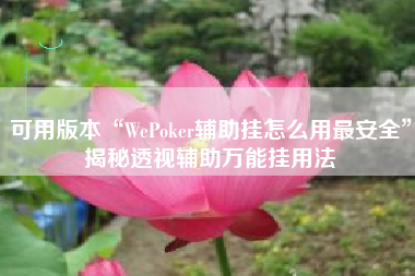可用版本“WePoker辅助挂怎么用最安全”揭秘透视辅助万能挂用法