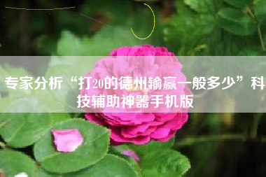 专家分析“打20的德州输赢一般多少”科技辅助神器手机版