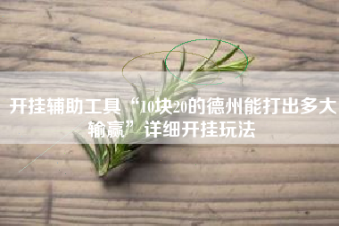 开挂辅助工具“10块20的德州能打出多大输赢	”详细开挂玩法