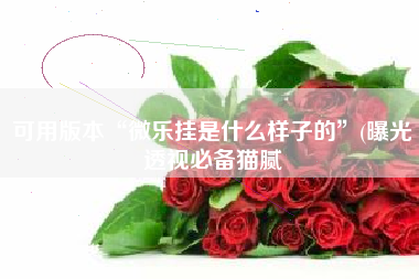 可用版本“微乐挂是什么样子的”(曝光透视必备猫腻