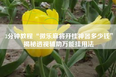 3分钟教程“微乐麻将开挂神器多少钱	”揭秘透视辅助万能挂用法