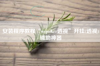 安装程序教程“wepoKer透视	”开挂(透视)辅助神器