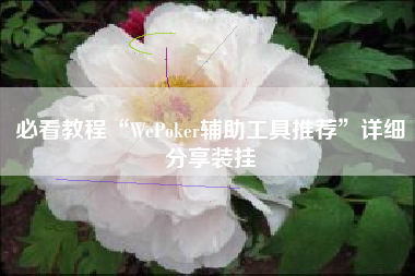 必看教程“WePoker辅助工具推荐	”详细分享装挂