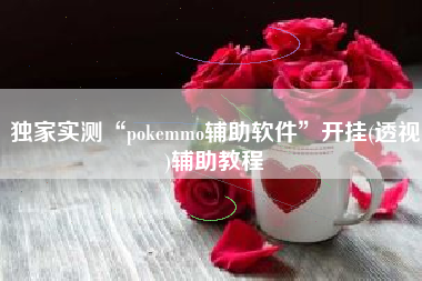 独家实测“pokemmo辅助软件	”开挂(透视)辅助教程