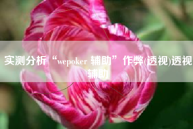实测分析“wepoker 辅助	”作弊(透视)透视辅助