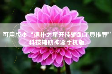 可用版本“德扑之星开挂辅助工具推荐	”科技辅助神器手机版