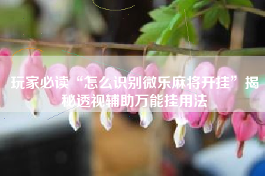 玩家必读“怎么识别微乐麻将开挂	”揭秘透视辅助万能挂用法