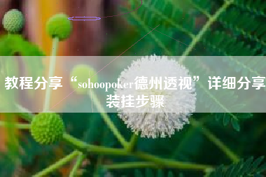 教程分享“sohoopoker德州透视”详细分享装挂步骤