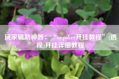 玩家辅助神器：“wepoker开挂教程	”(透视)开挂详细教程