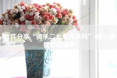 软件分享“微乐二七王有挂吗”(曝光透视必备猫腻