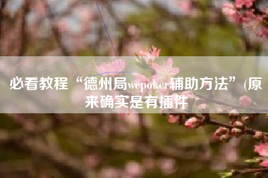 必看教程“德州局wepoker辅助方法”(原来确实是有插件