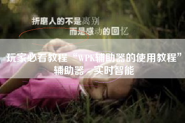 玩家必看教程“WPK辅助器的使用教程”辅助器 - 实时智能