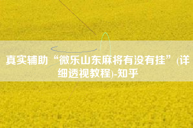 真实辅助“微乐山东麻将有没有挂	”(详细透视教程)-知乎