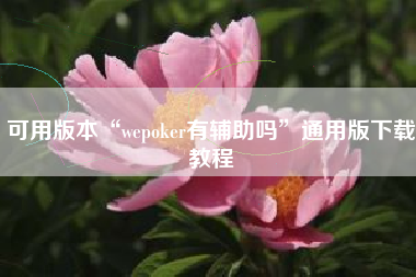 可用版本“wepoker有辅助吗”通用版下载教程