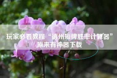 玩家必看教程“德州短牌胜率计算器”原来有神器下载