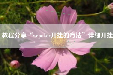 教程分享“wepoker开挂的方法”详细开挂