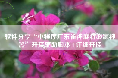 软件分享“小程序广东雀神麻将必赢神器”开挂辅助脚本+详细开挂