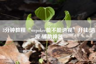 3分钟教程“wepoker能不能透视	”开挂(透视)辅助神器
