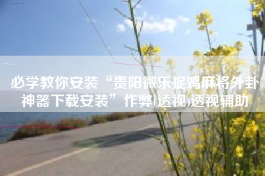 必学教你安装“贵阳微乐捉鸡麻将外卦神器下载安装”作弊(透视)透视辅助 必学教你安装“贵阳微乐捉鸡麻将外卦神器下载安装”作弊(透视)透视辅助