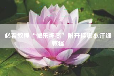 必看教程“微乐神器”附开挂脚本详细教程