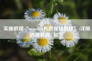 实操教程“wepoker有透视辅助挂	”(详细透视教程)-知乎