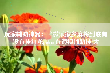 玩家辅助神器：“微乐家乡麻将到底有没有挂红龙poker有透视辅助挂(太