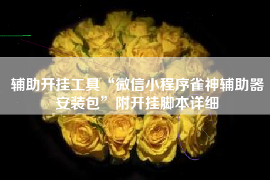 辅助开挂工具“微信小程序雀神辅助器安装包”附开挂脚本详细