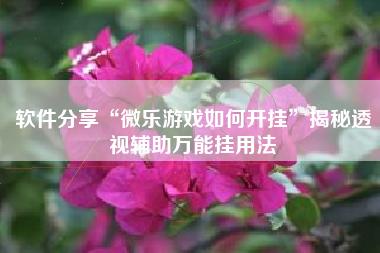 软件分享“微乐游戏如何开挂”揭秘透视辅助万能挂用法