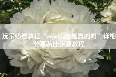 玩家必看教程“wepoker挂是真的吗	”详细分享装挂步骤教程