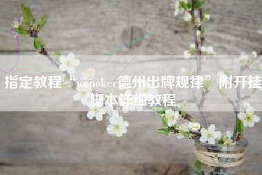 指定教程“wepoker德州出牌规律”附开挂脚本详细教程