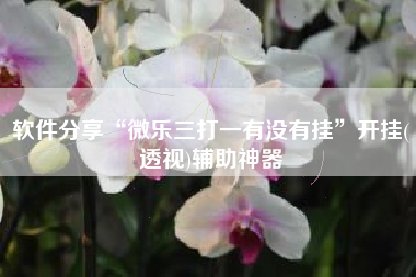 软件分享“微乐三打一有没有挂”开挂(透视)辅助神器