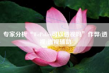 专家分析“WePoker可以透视吗”作弊(透视)透视辅助