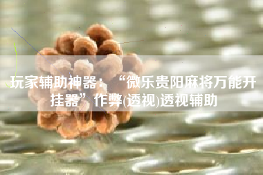 玩家辅助神器：“微乐贵阳麻将万能开挂器”作弊(透视)透视辅助