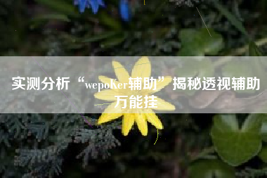 实测分析“wepoKer辅助”揭秘透视辅助万能挂