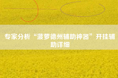 专家分析“菠萝德州辅助神器	”开挂辅助详细