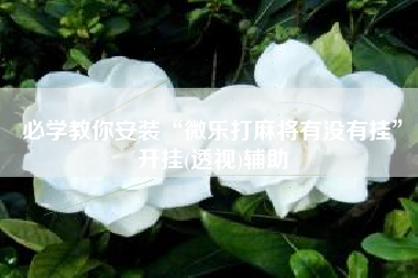 必学教你安装“微乐打麻将有没有挂”开挂(透视)辅助