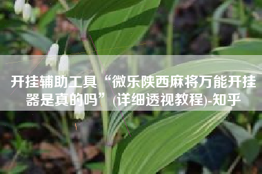 开挂辅助工具“微乐陕西麻将万能开挂器是真的吗”(详细透视教程)-知乎