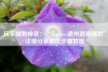 玩家辅助神器：“aapoker德州透视辅助	”详细分享装挂步骤教程