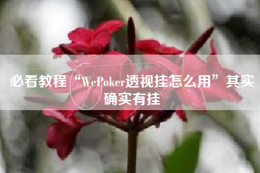 必看教程“WePoker透视挂怎么用	”其实确实有挂