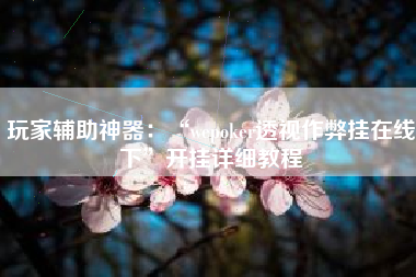 玩家辅助神器：“wepoker透视作弊挂在线下”开挂详细教程
