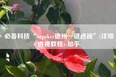 必备科技“wepoker德州一键透视”(详细透视教程)-知乎