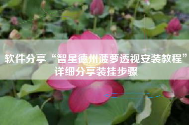 软件分享“智星德州菠萝透视安装教程”详细分享装挂步骤