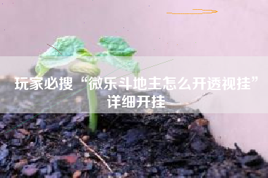 玩家必搜“微乐斗地主怎么开透视挂”详细开挂