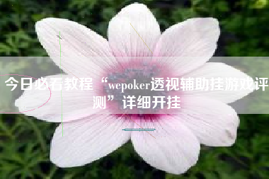 今日必看教程“wepoker透视辅助挂游戏评测”详细开挂