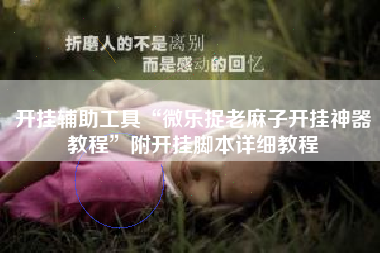 开挂辅助工具“微乐捉老麻子开挂神器教程”附开挂脚本详细教程