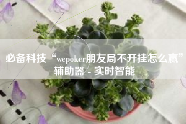 必备科技“wepoker朋友局不开挂怎么赢	”辅助器 - 实时智能