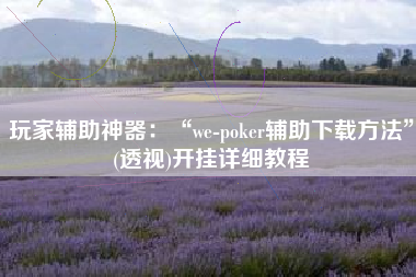 玩家辅助神器：“we-poker辅助下载方法”(透视)开挂详细教程