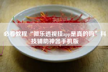 必看教程“微乐透视挂app是真的吗	”科技辅助神器手机版