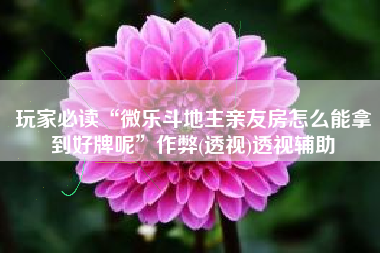 玩家必读“微乐斗地主亲友房怎么能拿到好牌呢	”作弊(透视)透视辅助